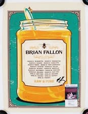 Brian Fallon 2020 Tour Poster