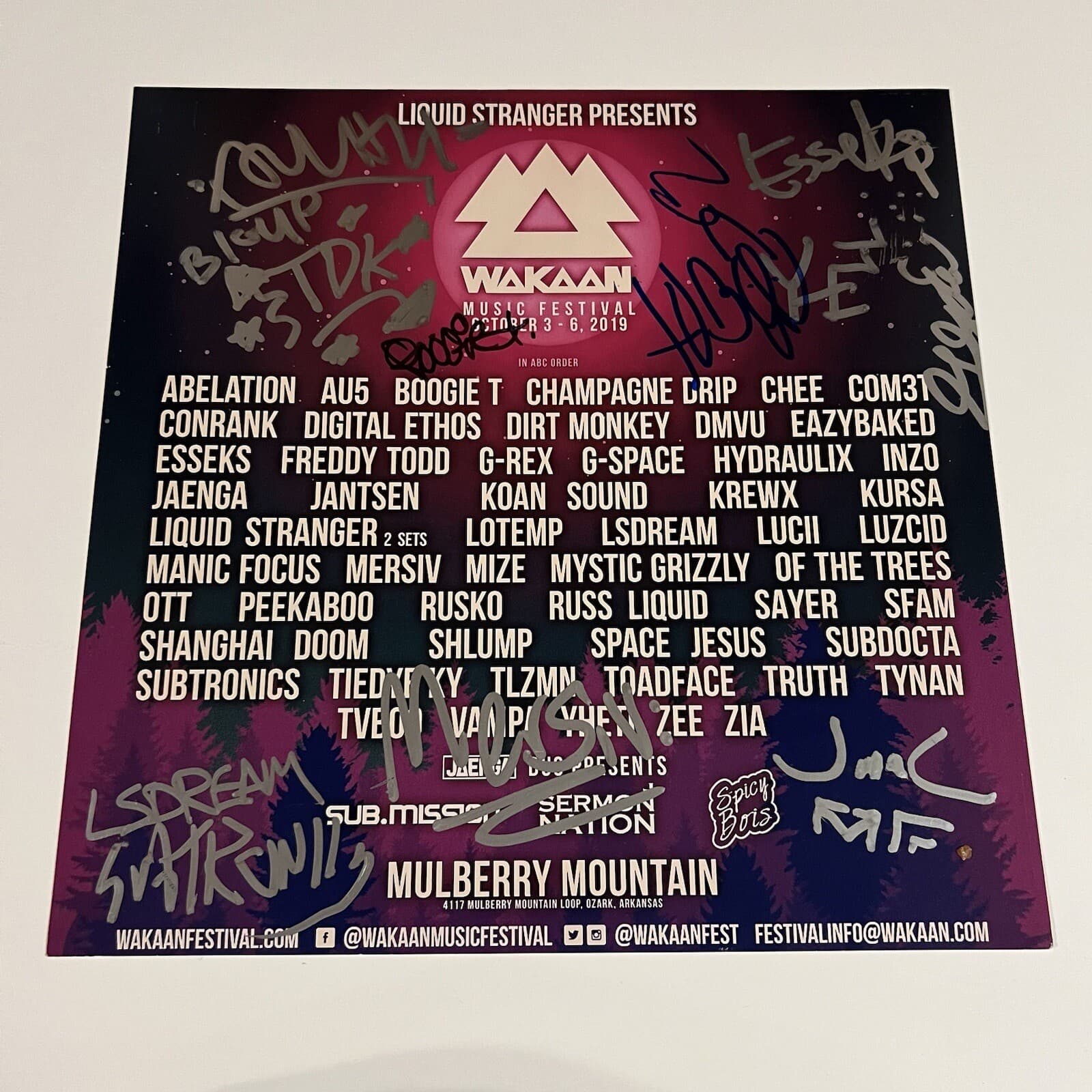 Wakaan Music Festival 12X12 Photo Subtronics LSDREAM Mersiv Boogie T +7
